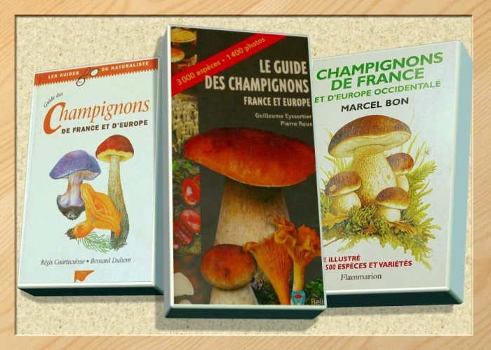 Labellenature Aller Aux Champignons Cmonsite - 